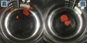 這個秋冬最值得購買的mac口紅色號